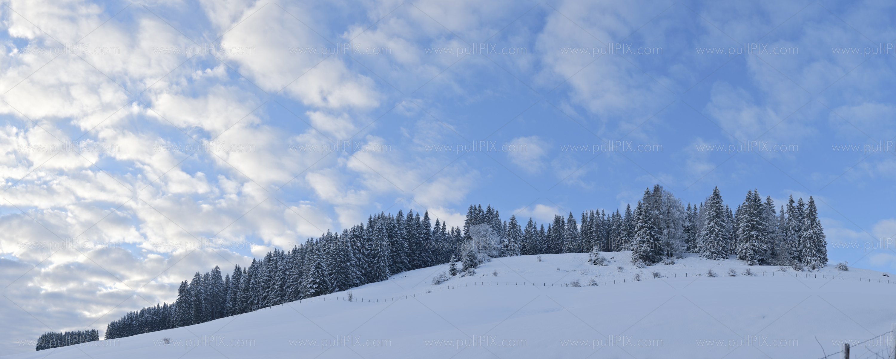 Preview winterliches allgaeu_13.jpg